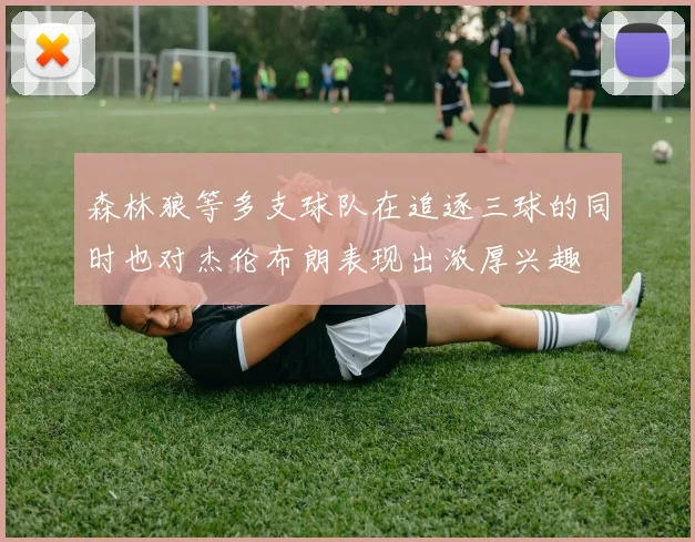森林狼等多支球队在追逐三球的同时也对杰伦布朗表现出浓厚兴趣