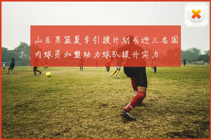 山东男篮夏季引援计划或迎三名国内球员加盟助力球队提升实力