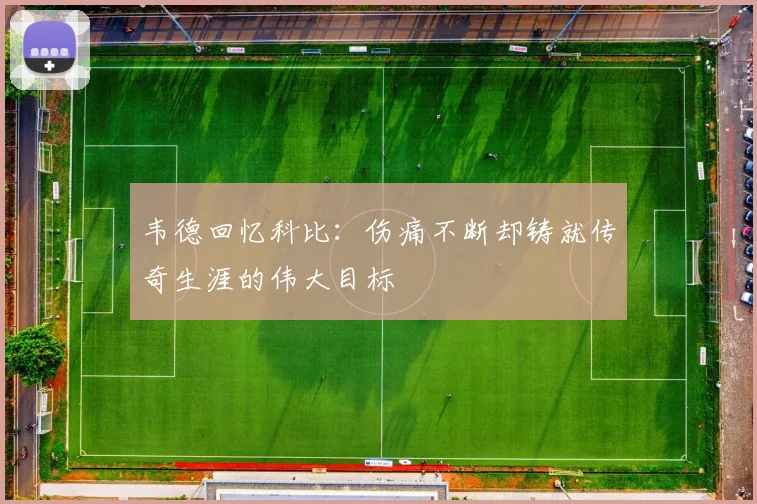 韦德回忆科比：伤痛不断却铸就传奇生涯的伟大目标