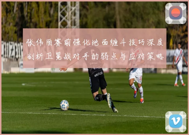 张伟丽赛前强化地面缠斗技巧深度剖析卫冕战对手的弱点与应对策略